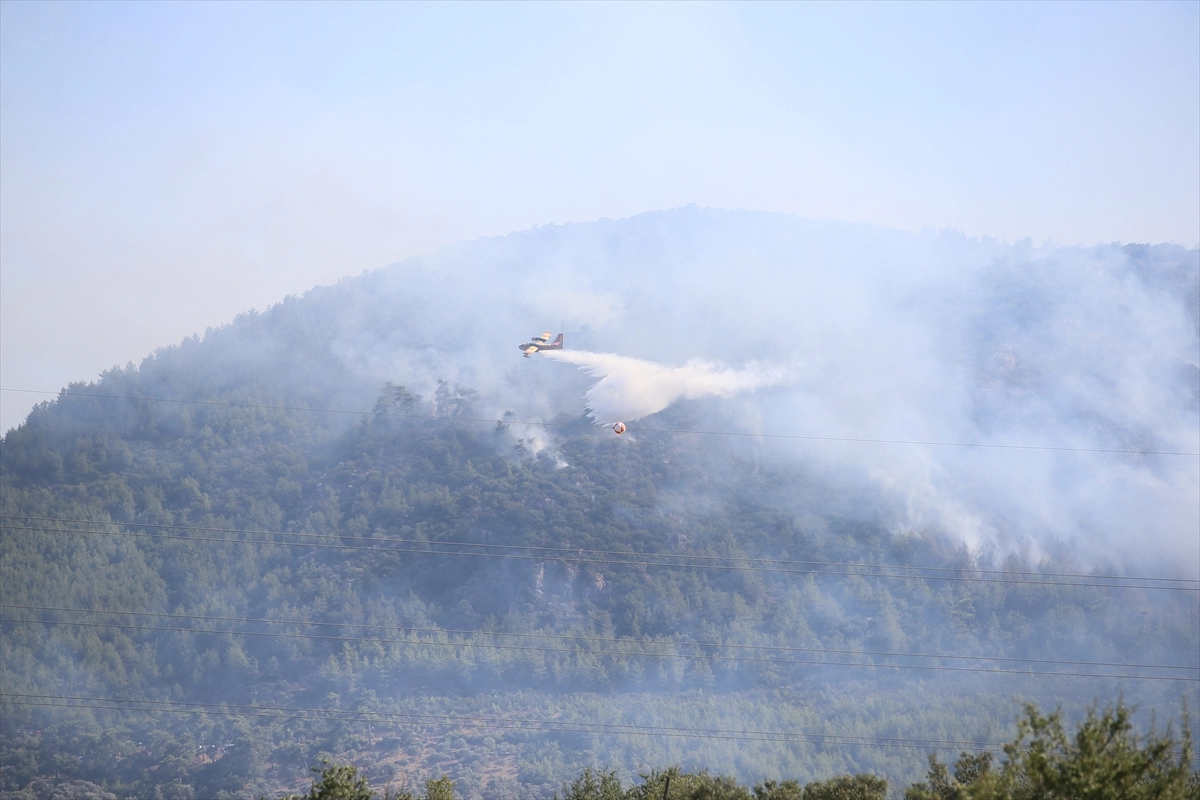 Turska: U Bodrumu izbio šumski požar